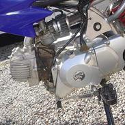 MiniBike 125cc 
