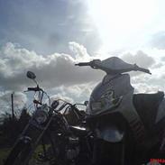 Regal Raptor ADS Design #SOLGT#