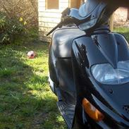 Gilera Stalker (Solgt)