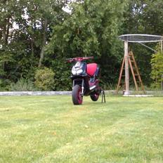 Aprilia rally AC SD   (Mona)