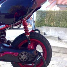 Aprilia rally AC SD   (Mona)