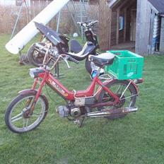 Puch maxi k ( SOLGT )