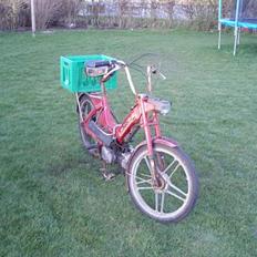 Puch maxi k ( SOLGT )