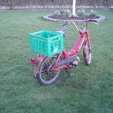 Puch maxi k ( SOLGT )