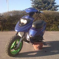 PGO Hot 50 (protjekt)