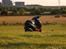 Kymco ZX 50 [SOLGT 21/6-08] - Elia d. 6/8-07
