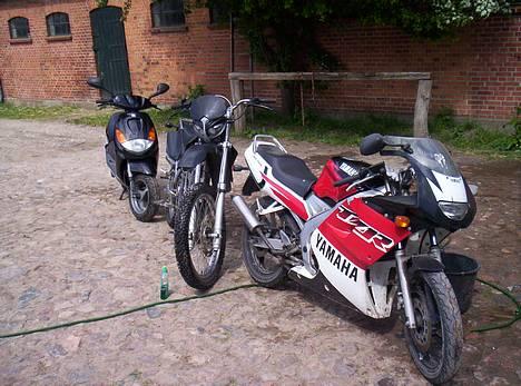 Honda SuperMotard *Laila  - Tzr, Supermotard , Og Dirchs ?  billede 12