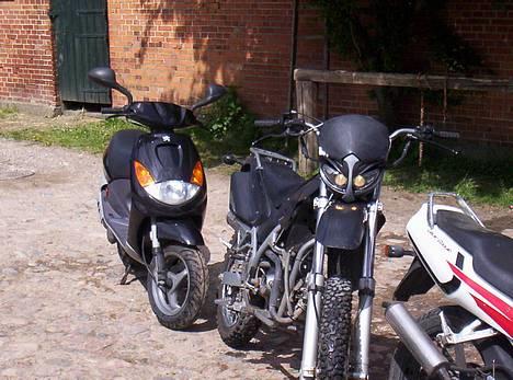 Honda SuperMotard *Laila  billede 13