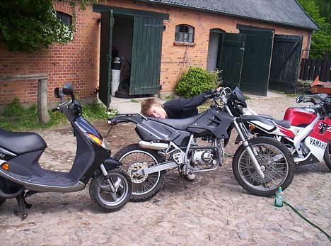 Honda SuperMotard *Laila  - Min Ven Madz ? Freak  billede 18