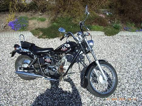 Regal *Raptor* billede 1