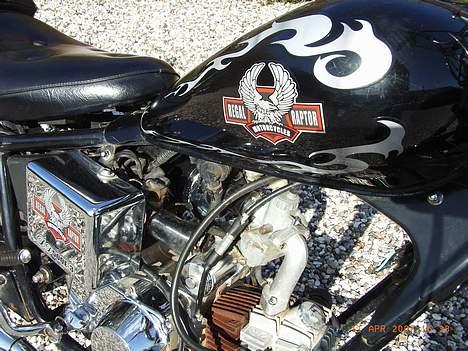 Regal *Raptor* billede 3