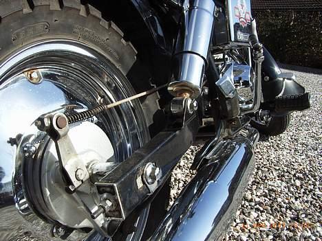 Regal *Raptor* billede 4