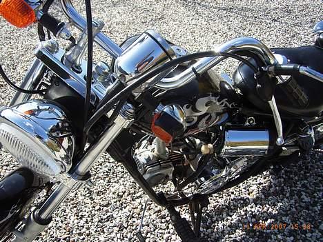 Regal *Raptor* billede 6