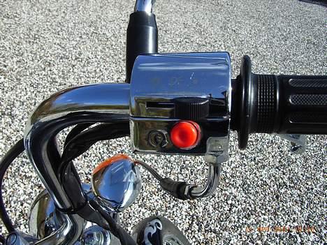 Regal *Raptor* billede 8