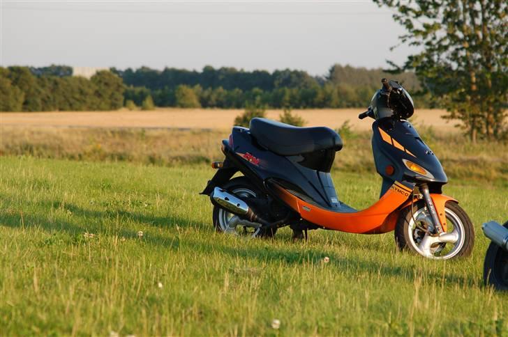 Kymco ZX 50 [SOLGT 21/6-08] - Elia d. 6/8-07 billede 2