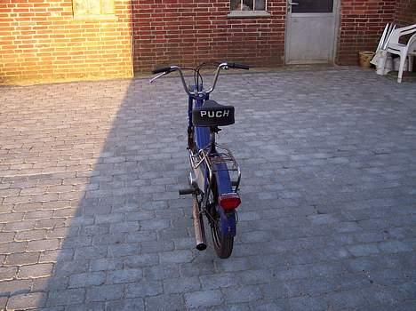 Puch Maxi "Lynet" billede 3