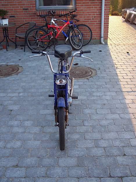 Puch Maxi "Lynet" billede 4