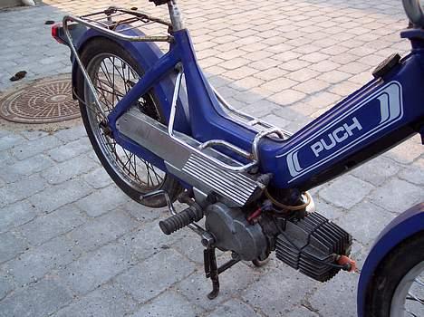 Puch Maxi "Lynet" billede 9