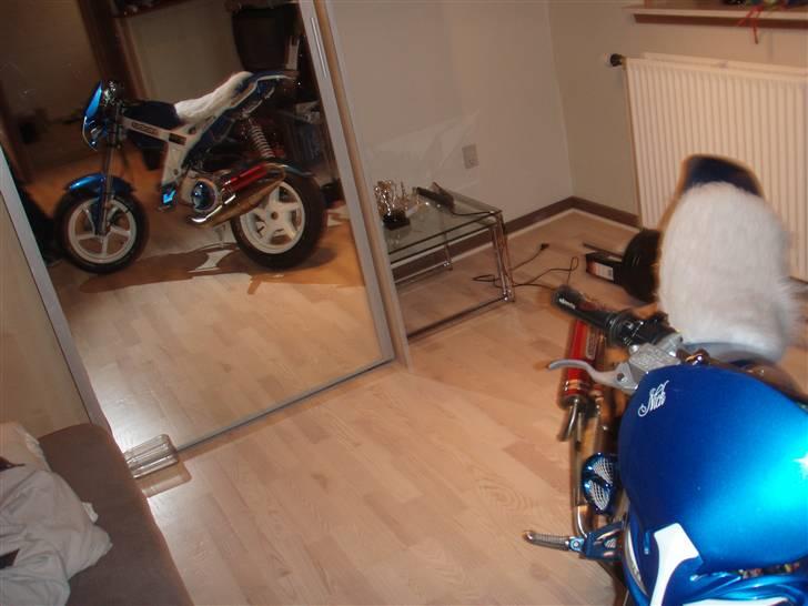 Suzuki street magic tilsalg billede 6