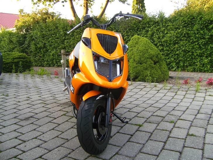 Aprilia Græshoppen 17,10 HK - mit frontskjold med sort net sorte blinklys og sort grill hva syntes i billede 11