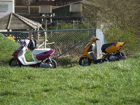 Aprilia Græshoppen 17,10 HK - min og marlenes op af hegn billede 18