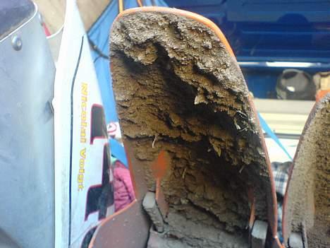 KTM KTM 65ccm "SOLGT" billede 12