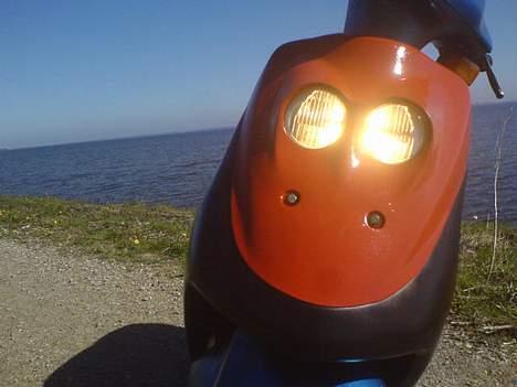 Adly »Cat 50« Byttet! billede 1