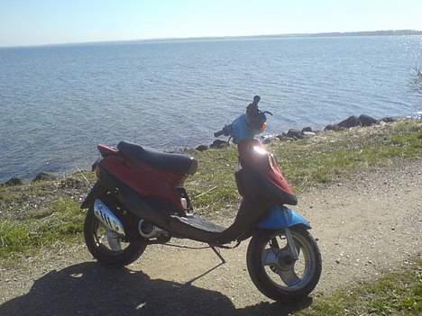 Adly »Cat 50« Byttet! billede 4