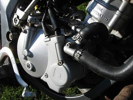 Derbi Senda SM X-treme LC DD - der er så noget af vandkølingen billede 4