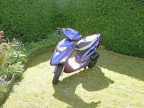 Honda SFX -> SOLGT ! - Som den så ud da jeg fik den ! Stod som en helt ny scooter! billede 8