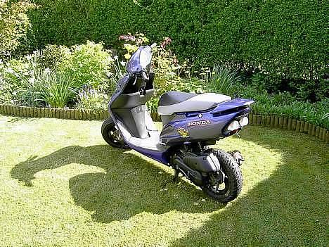 Honda SFX -> SOLGT ! - Havde kun kørt 2000 km på det her tidspunkt.. billede 9