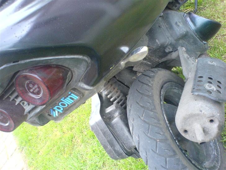 Honda SFX kameleon billede 4