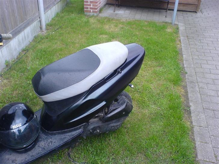 Honda SFX kameleon billede 5