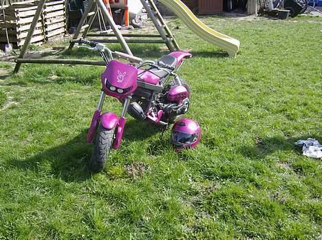 Suzuki Street Magic billede 2