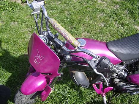 Suzuki Street Magic billede 6