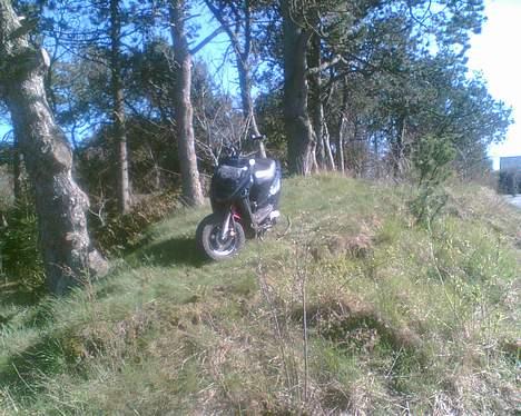 PGO projekt skrottet billede 13