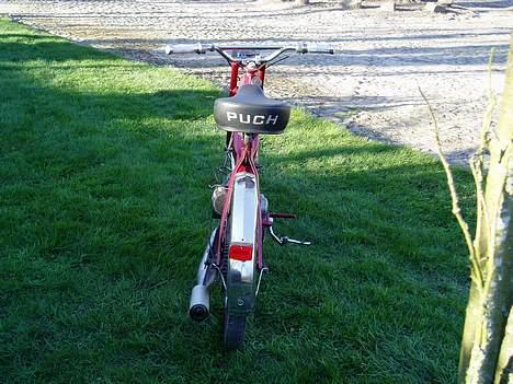 Puch maxi solgt billede 4