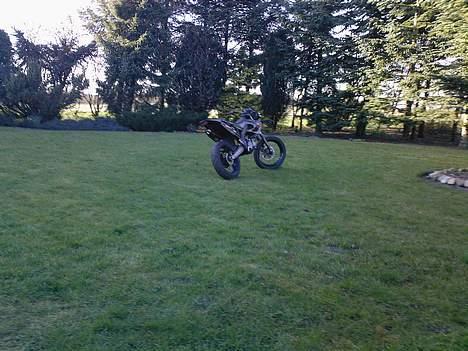 Derbi Senda sm xtreme  (solgt) billede 5