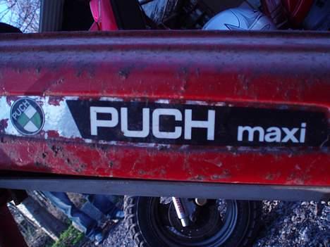 Puch maxi p - PUCH MAXI P billede 3