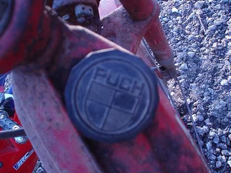 Puch maxi p - Benz log billede 5