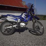 MiniBike AMS