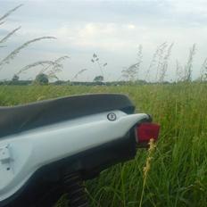 Yamaha Slider ( SOLGT )