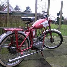 Sco sco 3gear
