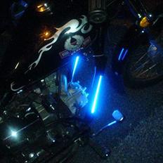 Regal regal raptor  Byttet!