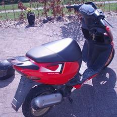 Aprilia sonic