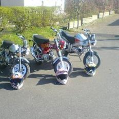 Skyteam Monkey SOLGT