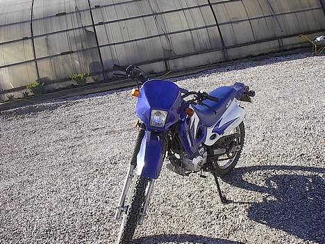 MiniBike AMS - ams´er 200 ccm billede 4