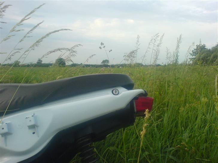 Yamaha Slider ( SOLGT ) billede 1