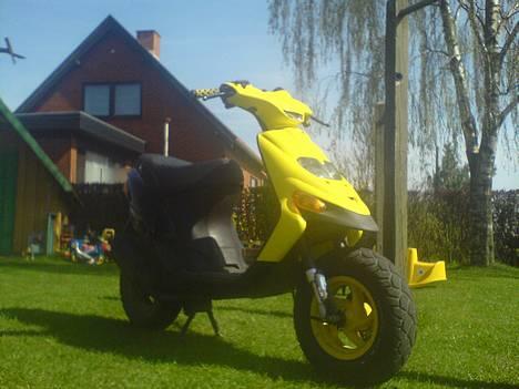 Gilera Stalker (Til salg) - Gammelt billede fra i sommers billede 1