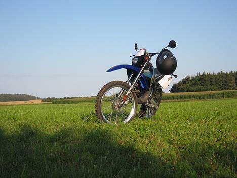 Derbi X-Treme-----solgt______ - De var der vor den var ny huuu. billede 1